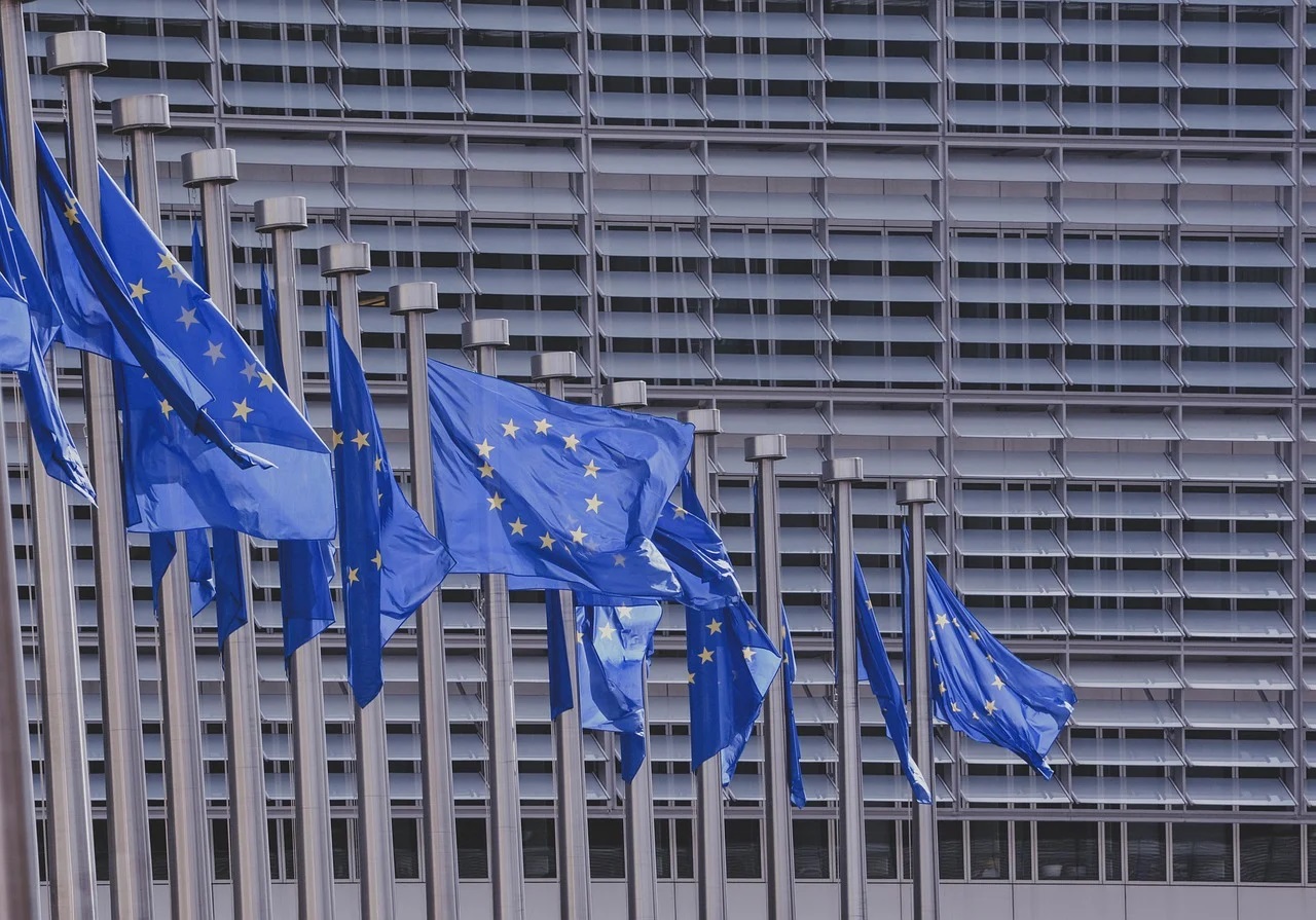UE are nevoie de reguli cu privire la carantine şi teste
